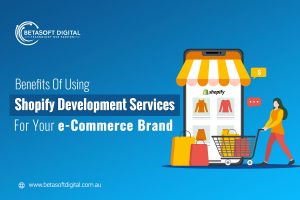 Benefits Of Using Shopify Development Services For Your E-commerce Brand